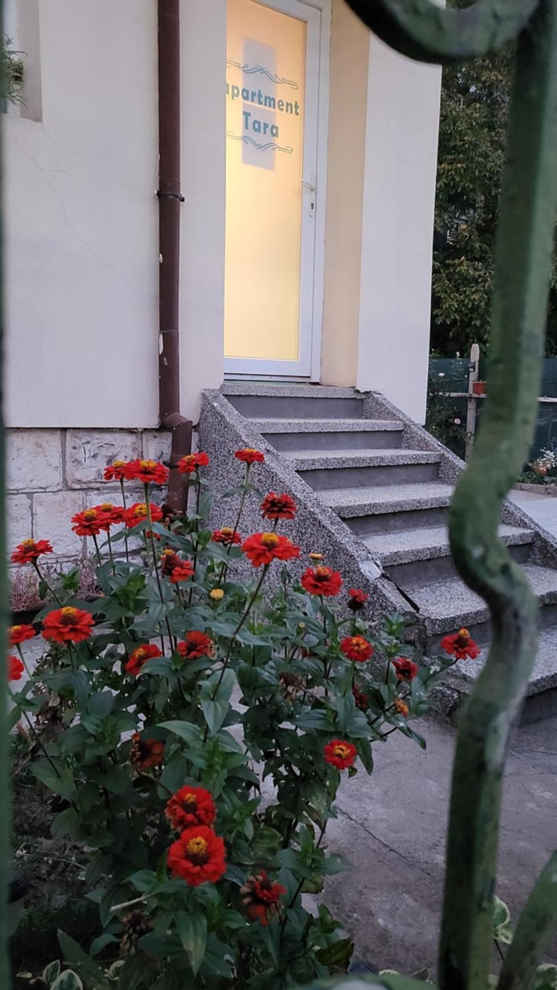 Апартамент За Гости Тара Ruse Exterior photo